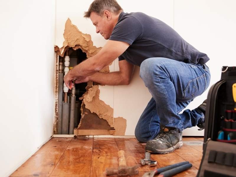 The Complete Guide to Mold Remediation in Coastal North Carolina