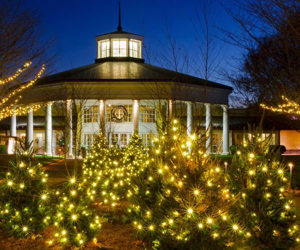 Why Homeowners Are Installing Permanent Holiday Lights All Year Long