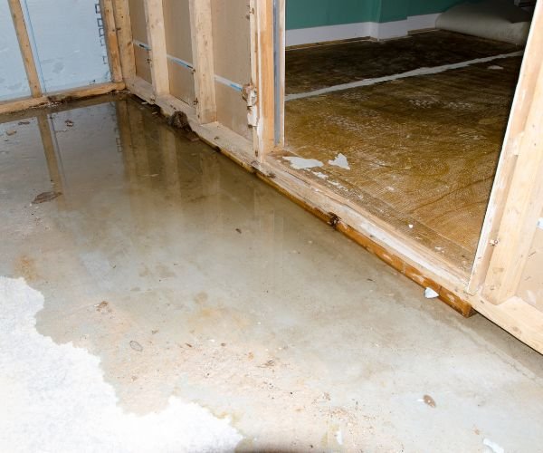 How Water Damage Leads to Structural Wood Rot and How to Fix It