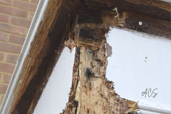 How Rotten Wood Replacement Protects Homes in Coastal North Carolina