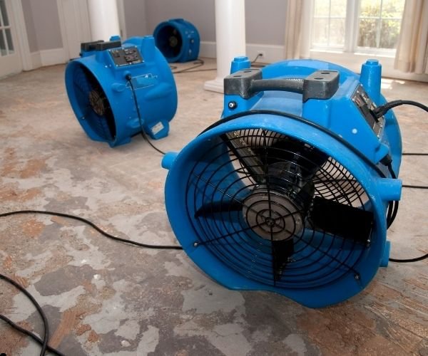 Why Fast Water Damage Cleanup Saves Homeowners Thousands